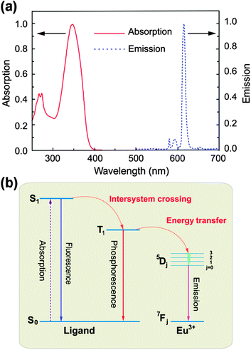 (a) normalized absorption (solid line) and emission spectra