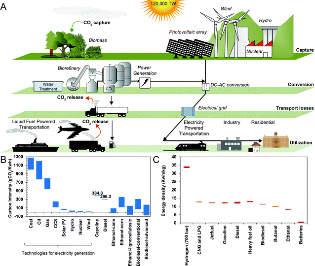 The Role Of Biofuels In The Future Energy Supply - Energy ...