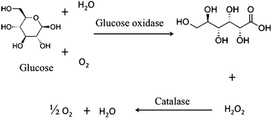 Controlling lipid oxidation of food by active packaging technologies ...