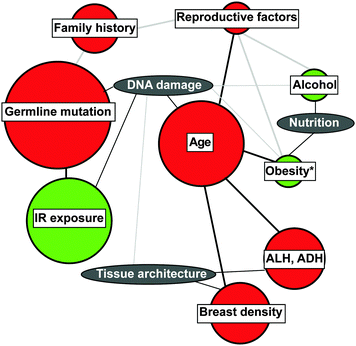 chart of known risk factors for breast cancer Chart of known risk factors for breast cancer