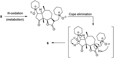 Conversion of the ambrosin prodrug 8 into ambrosin 6.