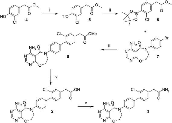 Synthesis of initial hits 2 and 3. Reagents and conditions: (i) PhN(Tf)2, Na2CO3, THF, 69%; (ii) bis(pinacolato)diboron, CH3CO2K, PdCl2(dppf)-DCM adduct, 1,4-dioxane, 42%; (iii) PdCl2(dppf)-DCM adduct, K3PO4, DME, MeOH, H2O, 46%; (iv) LiOH, 1,4-dioxane, H2O, 72%; (v) NH4Cl, HATU, i-Pr2NEt, DMF, 53%.