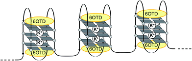 Schematic model of interactions of a L2H2-6OTD (2) with long telomeric DNA.