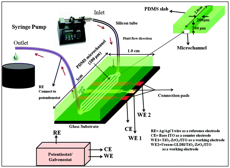 Microfluidics biosensors