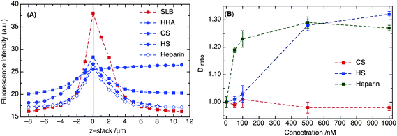 (A) Fluorescence intensities of DiD (red square) and different fluorescein-labeled GAG polymers (in blue). The dotted line at z-stack = 0 indicates the membrane surface. (B) Comparison of Dratio of DiD for different sulfated GAGs (i.e., HS, heparin and CS) at nanomolar concentrations.