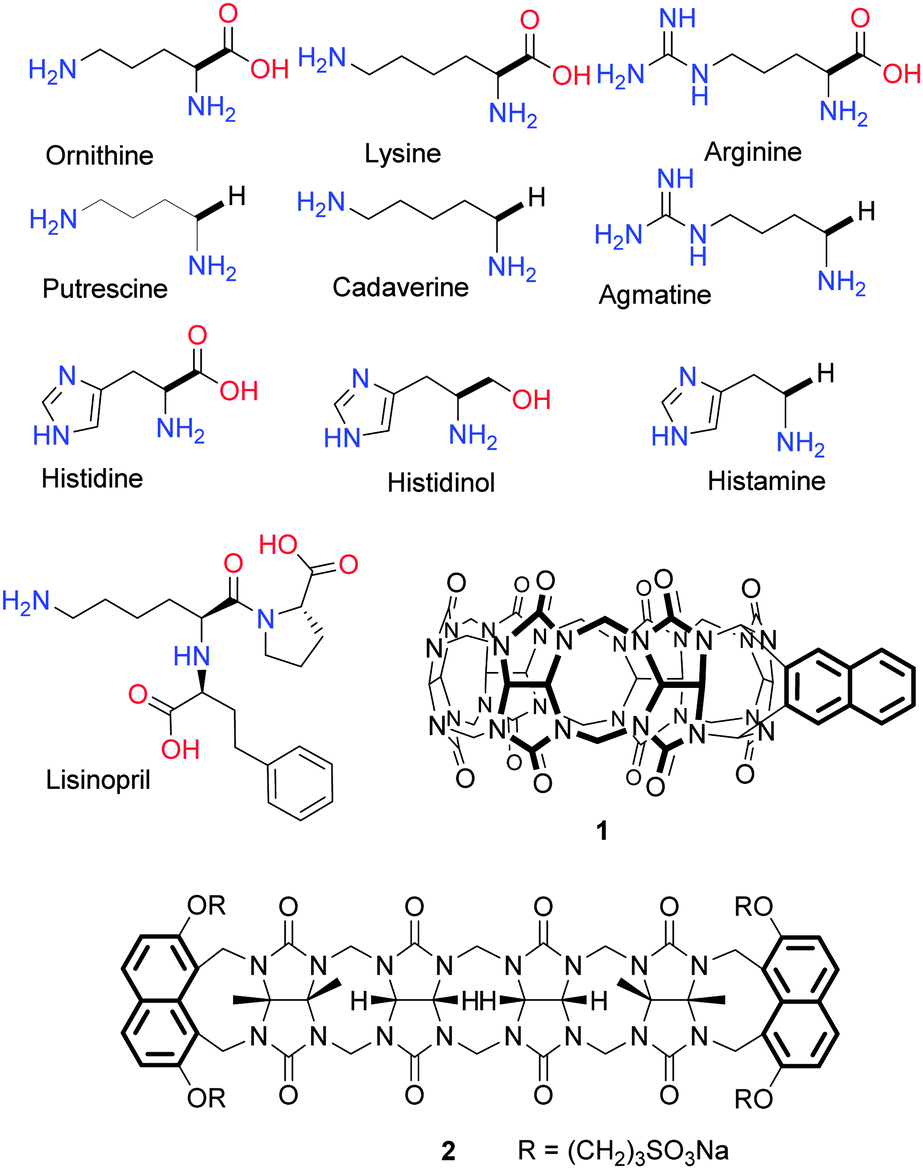 “Turnon” fluorescent sensor array for basic amino acids in water