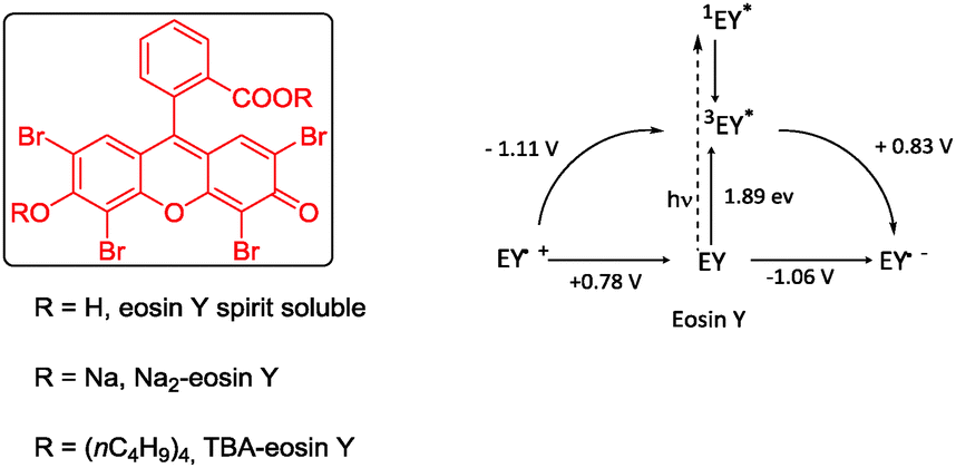 1 structure salt eosin in applications of Synthetic catalysis Y photoredox