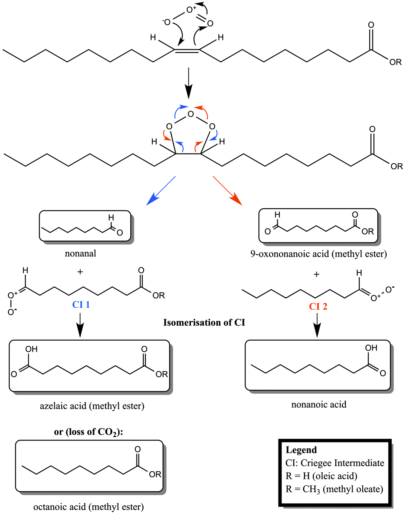 Ozonolysis Of Methyl Oleate Monolayers At The Airwater Interface