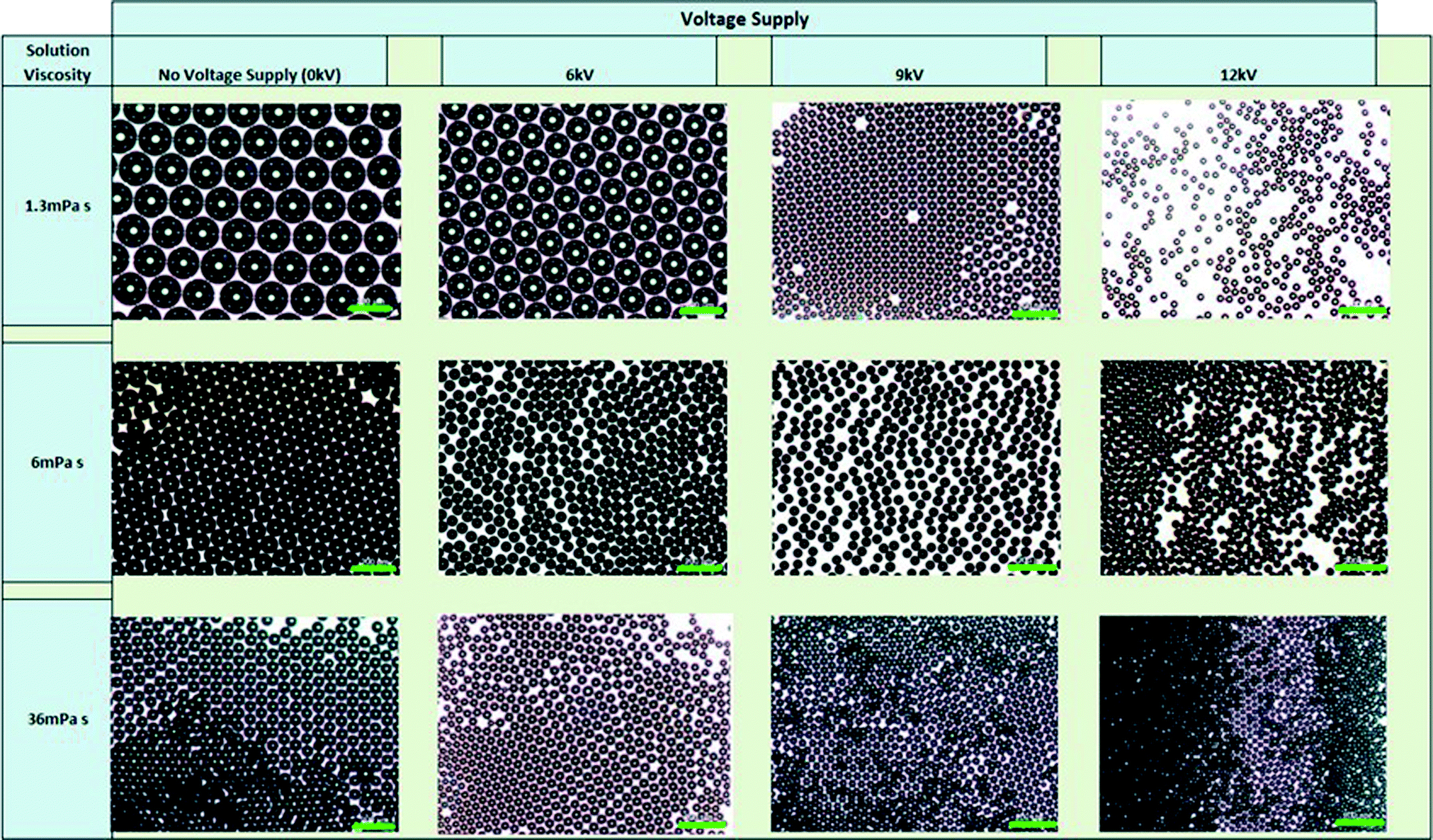 Preparation of monodisperse microbubbles using an 