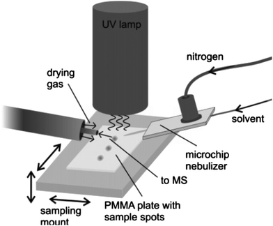 Ambient mass spectrometry technologies for the detection of falsified ...