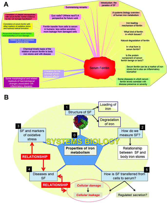 Anti Cancer Food And Drink Anti Cancer Food And Drink