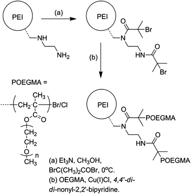 the polymerisation of oligo(ethylene glycol methyl ether)