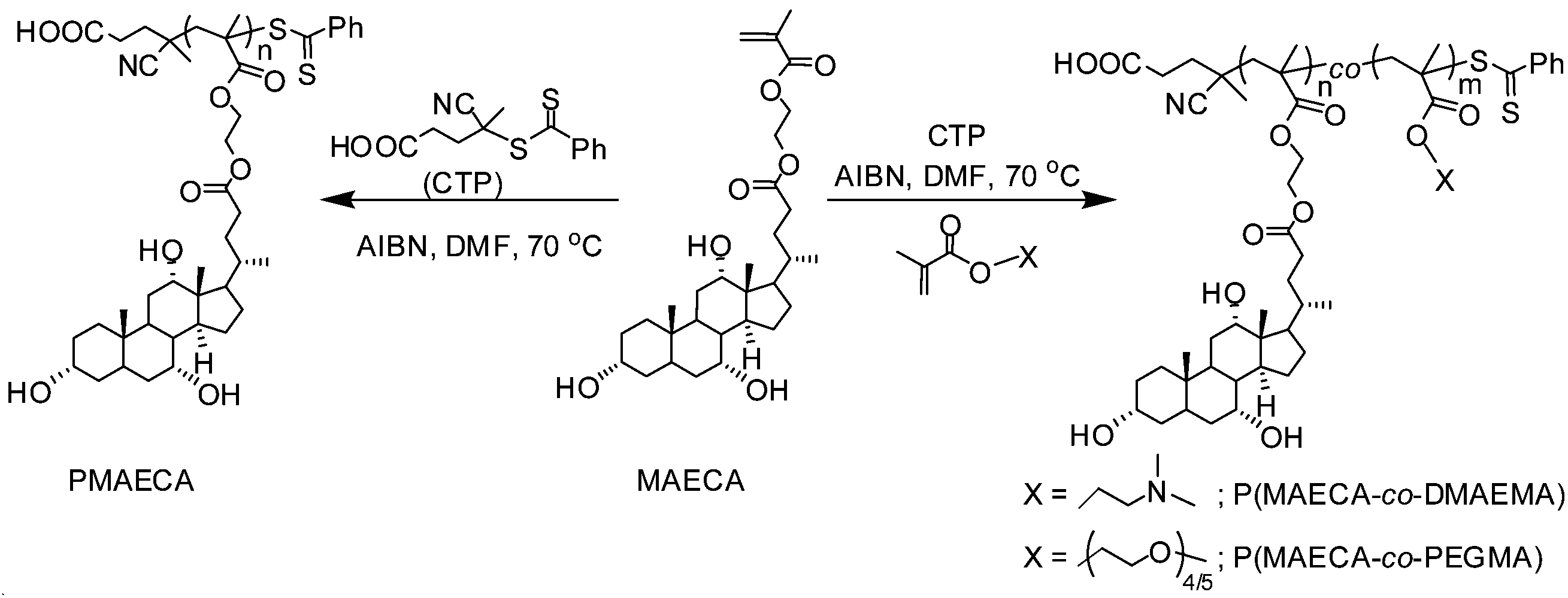 Synthesis via RAFT polymerization of thermo- and pH-responsive random ...