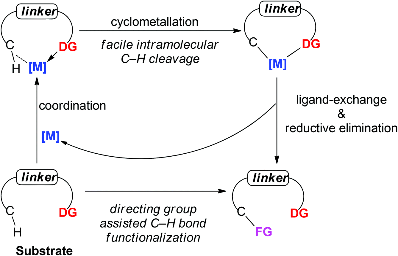 pdf techniques in