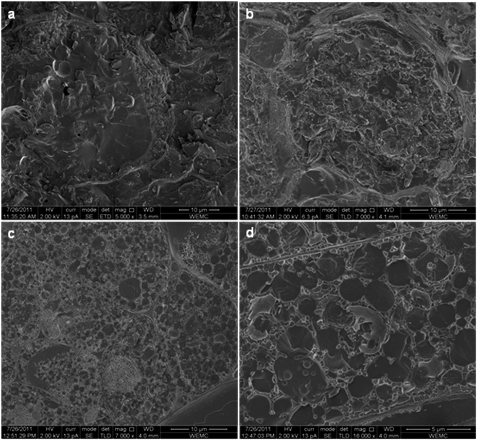 of composition proteins potential Composition, properties natural of and cream emulsions materials food applications and of composition proteins potential Composition, properties natural of and cream emulsions materials food applications and