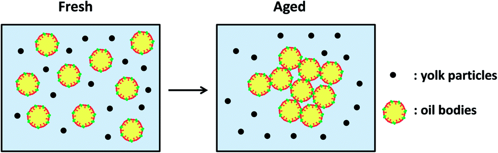 Composition, properties and potential food applications of natural ...