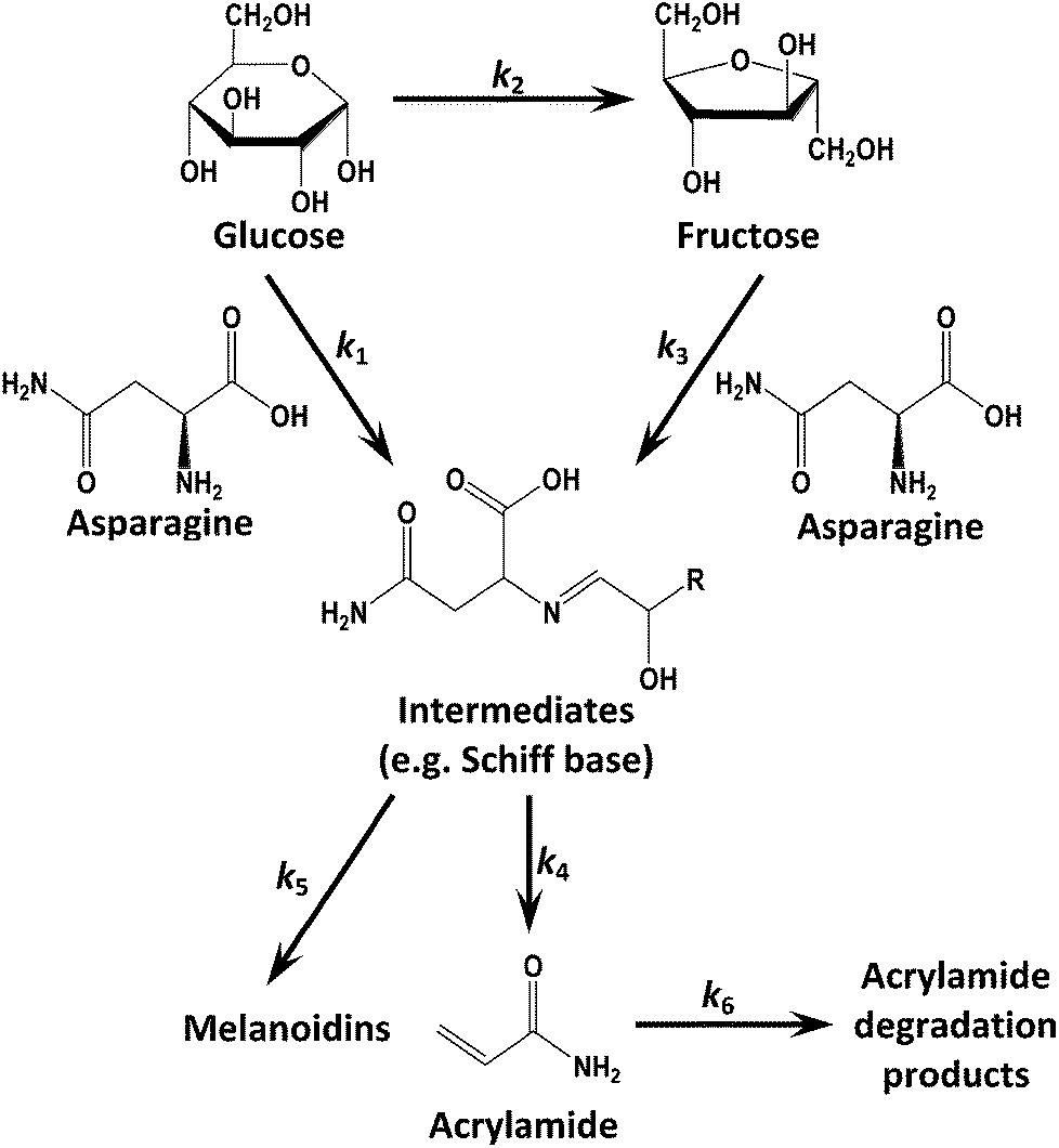2 Kinetic Model Of Acrylamide Formation And Elimination For Mimicking Maillard Reactions K1 K6 Parameters 2 Kinetic Model Of Acrylamide Formation And Elimination For Mimicking Maillard Reactions K1 K6 Parameters