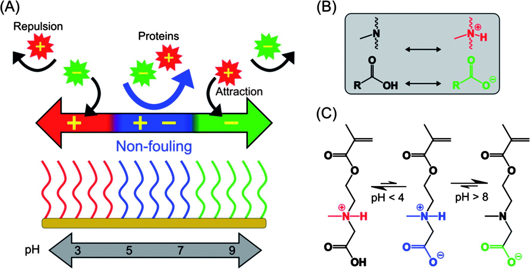 Reversibly switchable polymer with cationic/zwitterionic/anionic