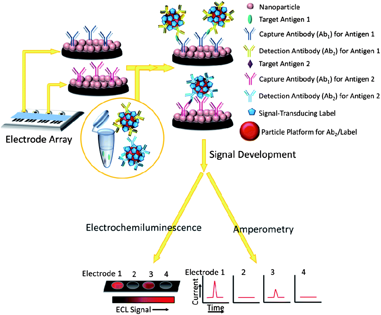 Nanomaterials and biomaterials in electrochemical arrays for protein