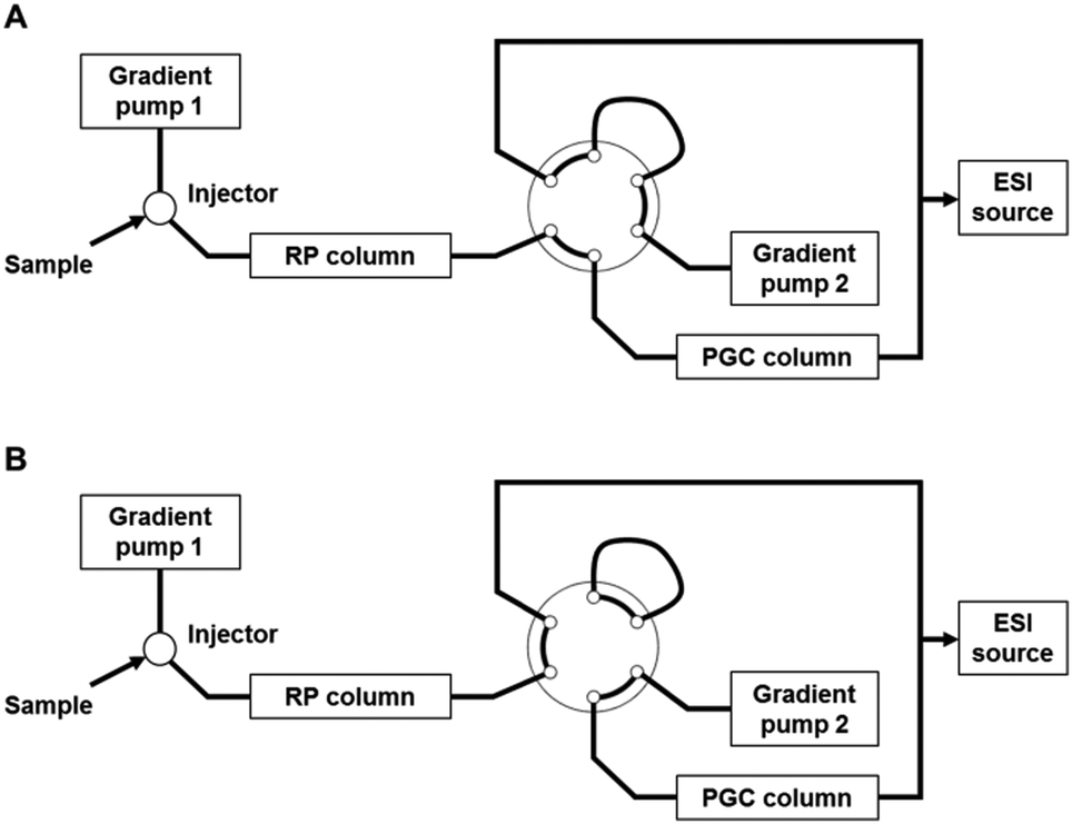 Complementing reversed-phase selectivity with porous graphitized carbon ...