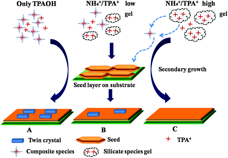 Rapid Fabrication Of Highly B-oriented Zeolite MFI Thin Films Using ...