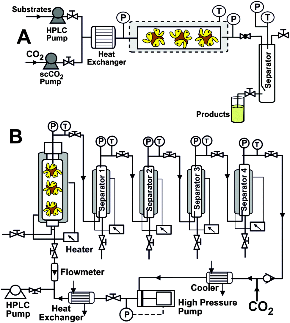8 (A) Continuous flow packed-bed reactor for the biocatalytic synthesis of octyl oleate,R-1-phenhylethyl acetate geranyl acetate in scCO2.