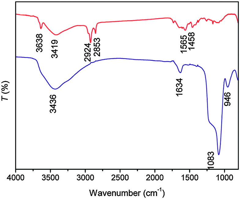 absorption o of photon Surface modification characterization and