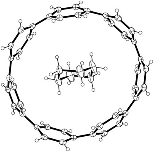 cycloparaphenylenes and related nanohoops