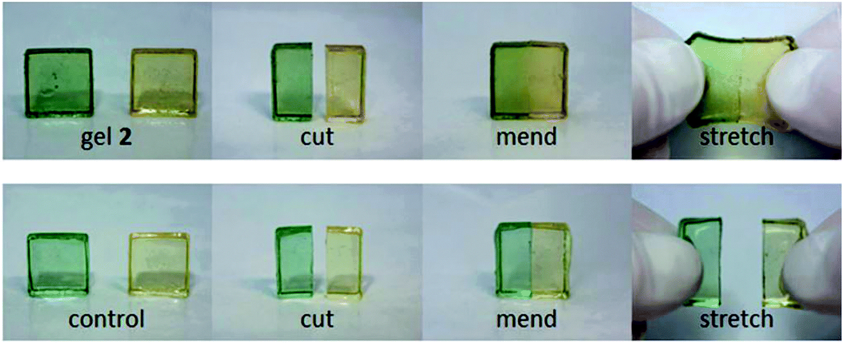 DYNAMERS dynamic polymers as selfhealing materials Chemical Society