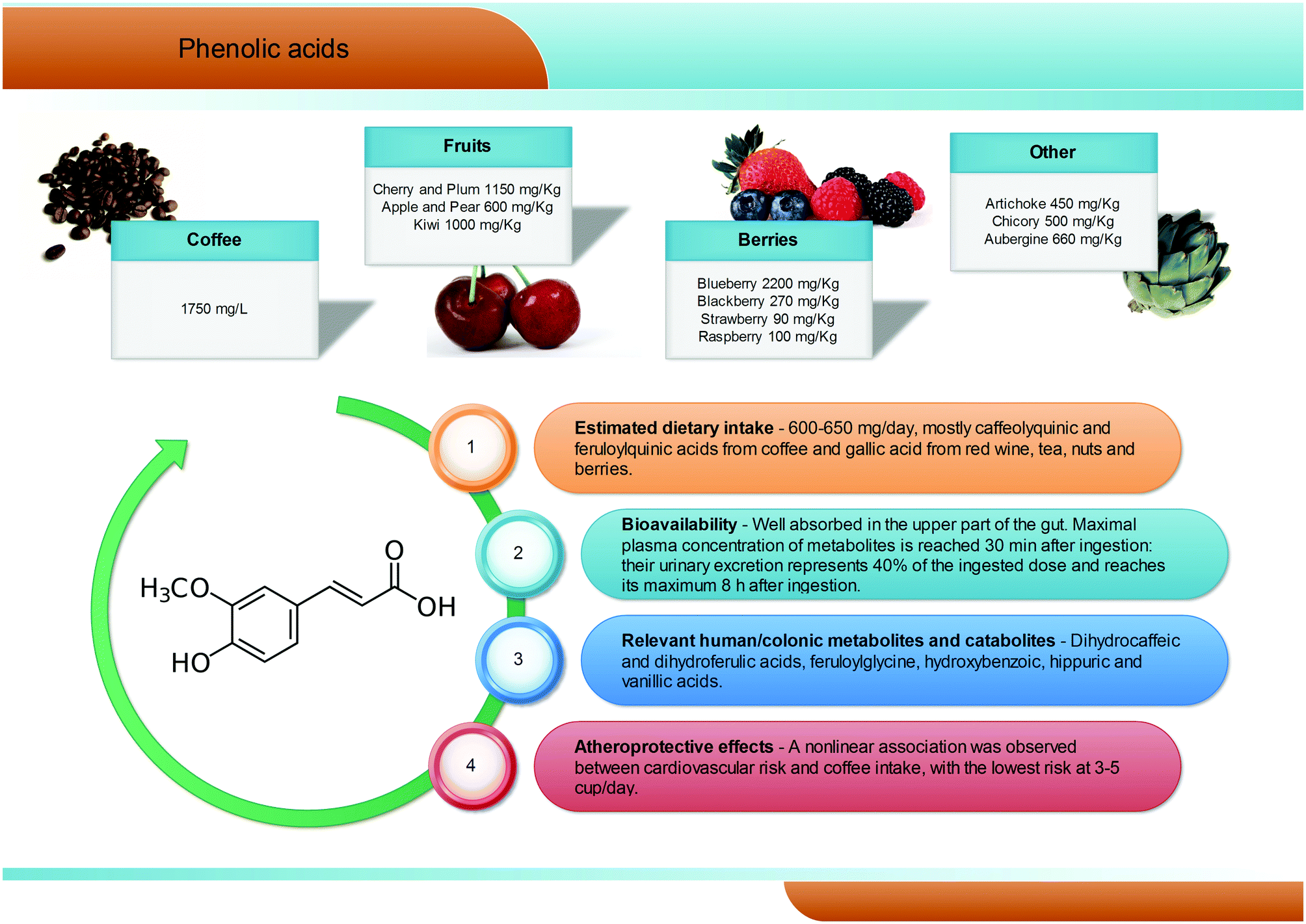 Atheroprotective effects of (poly)phenols a focus on cell cholesterol