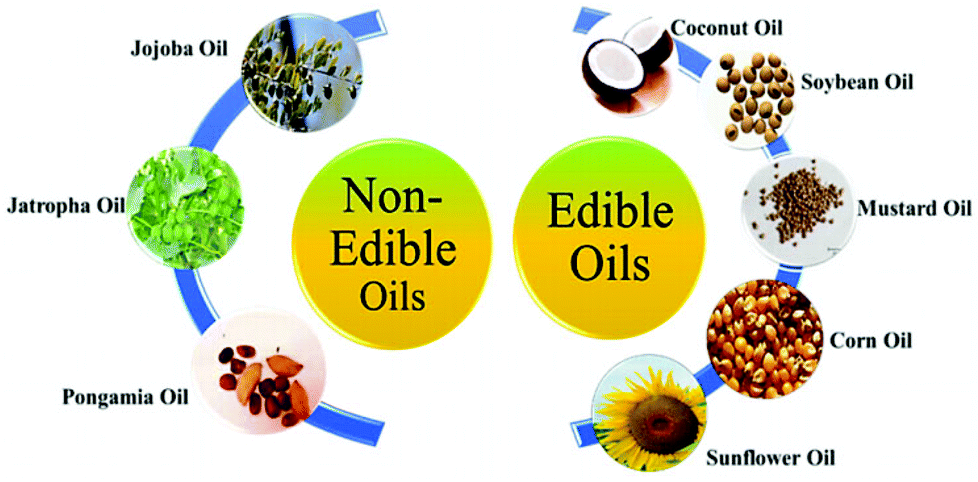 Recent progress on supported polyoxometalates for biodiesel synthesis ...