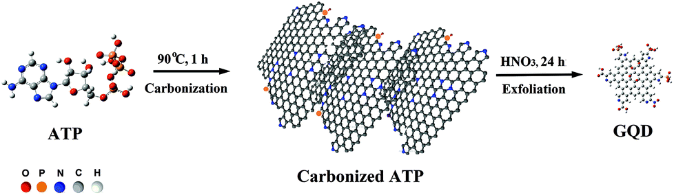 energy chemical show quantum and phosphorus graphene doped dots co Nitrogen