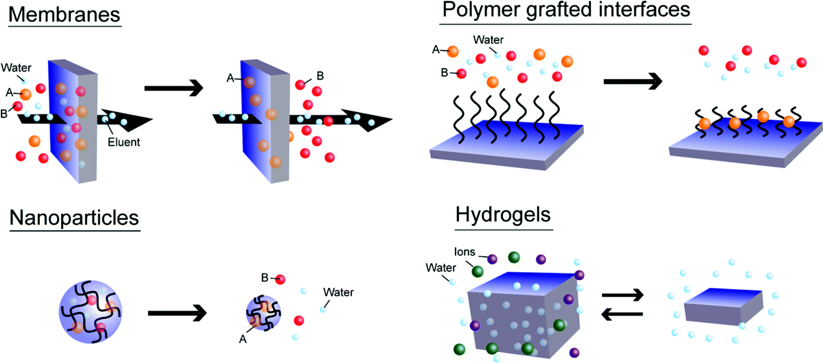 Thermoresponsive polyelectrolytes derived from ionic 