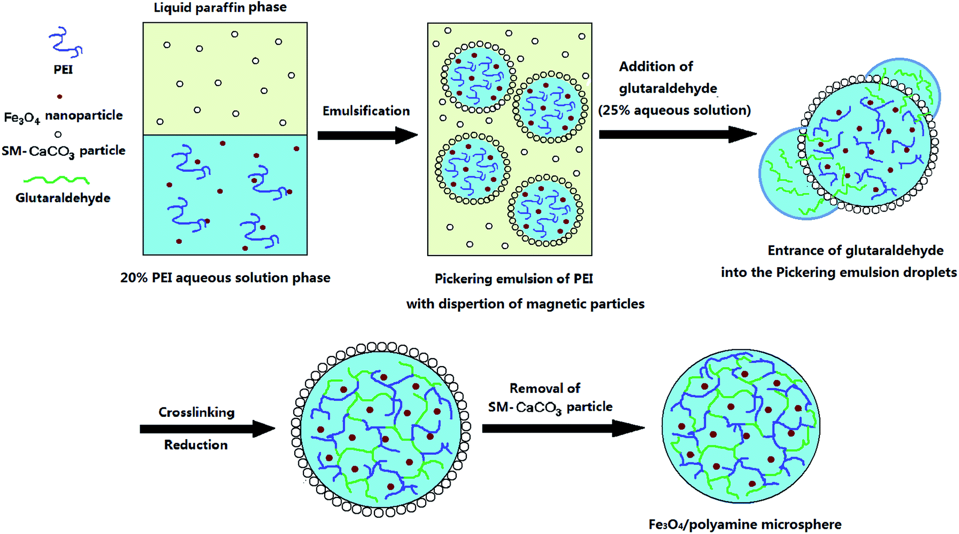 Synthesis of Fe 3 O 4 /polyamine hybrid microsphere using O/W