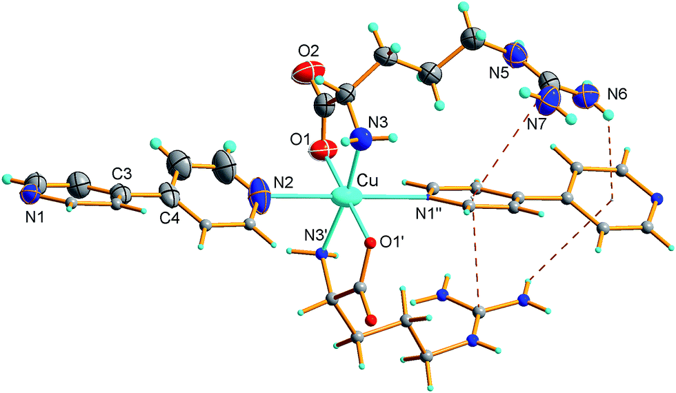 Are atoms mostly empty space image