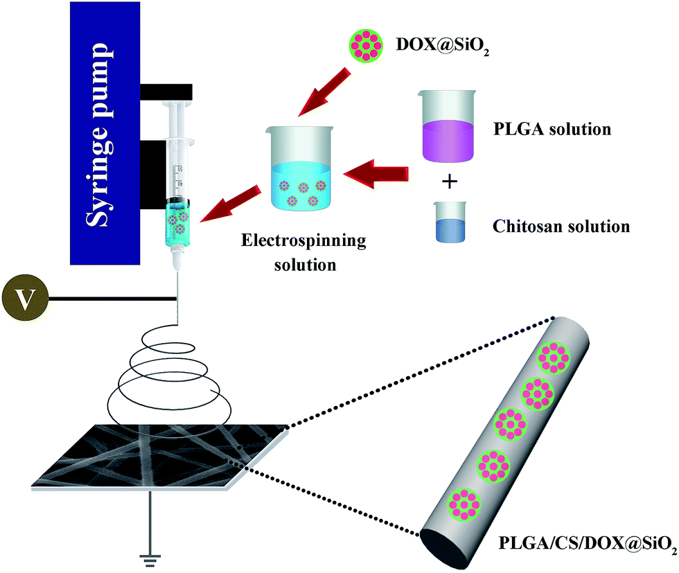 Electrospun nanofibers incorporating self-decomposable silica ...