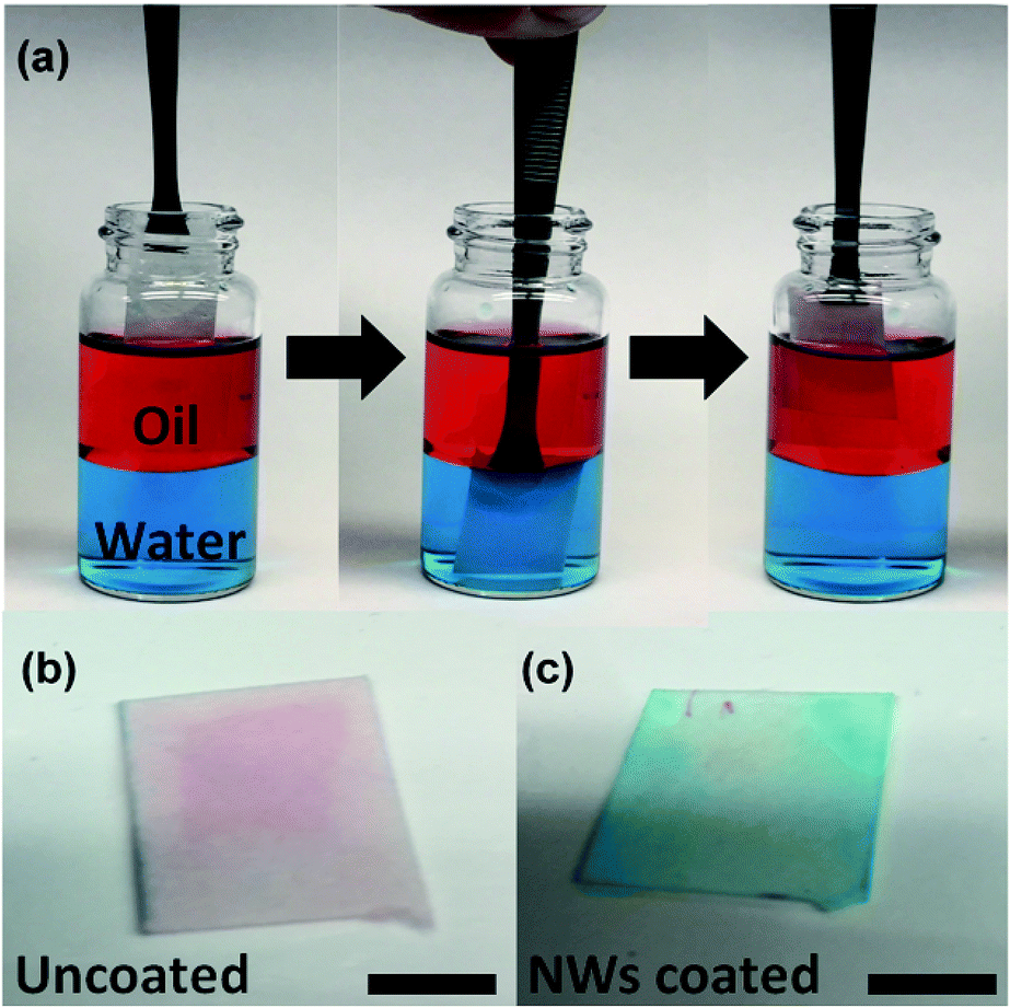 Selective oil/water filter paper via a scalable onepot hydrothermal