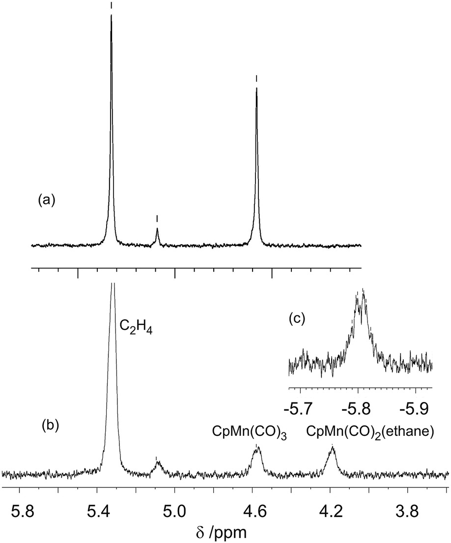 Detection of σalkane complexes of manganese by NMR and IR spectroscopy