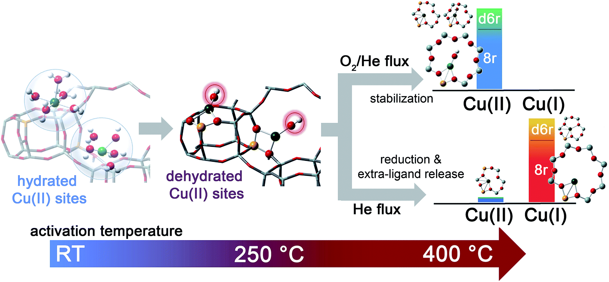 Revisiting the nature of Cu sites in the activated Cu-SSZ 