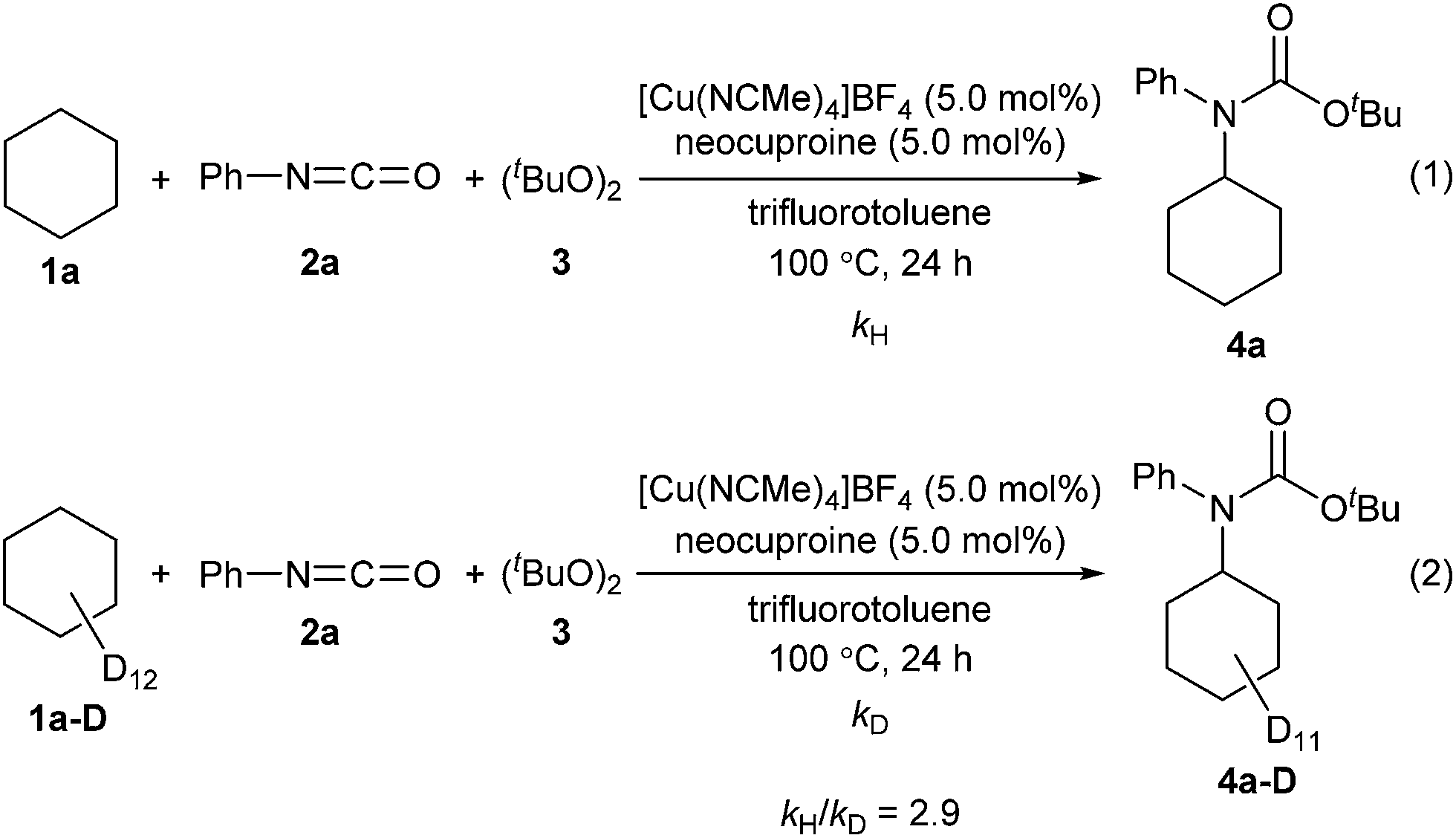 intermolecular force图片