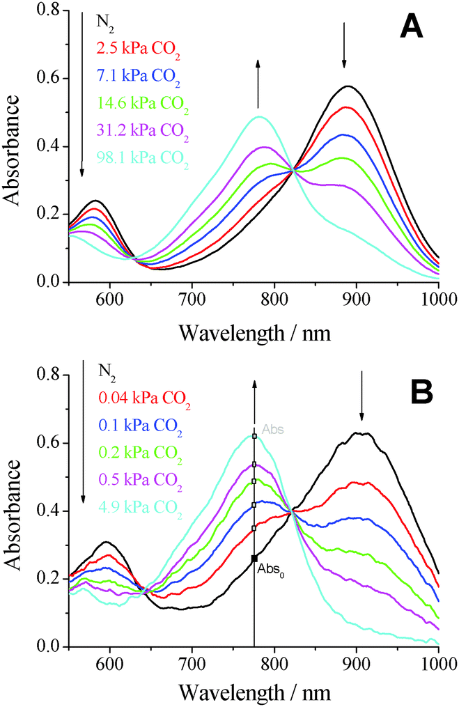 NIR optical carbon dioxide sensors based on highly photostable