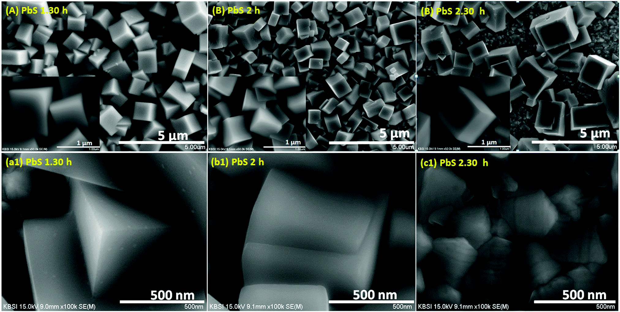 PBS THIN FILMS PDF DOWNLOAD PBS THIN FILMS PDF DOWNLOAD