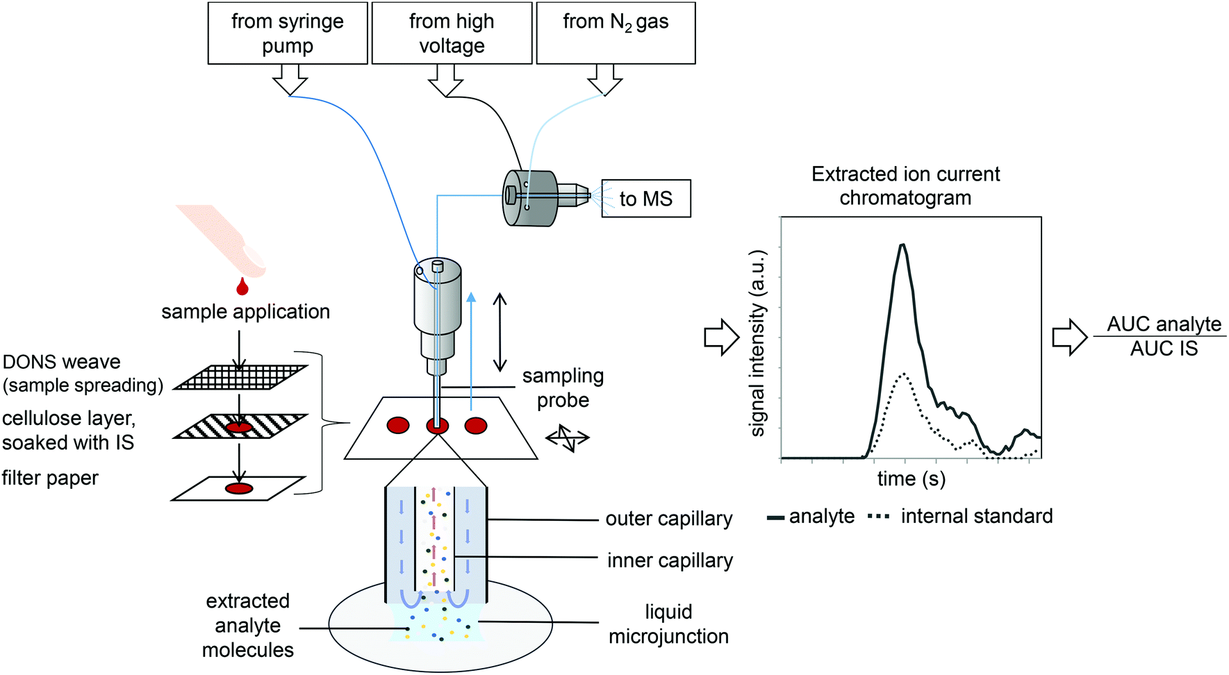 Therapeutic Drug Monitoring In Dried Blood Spots Using Liquid ...