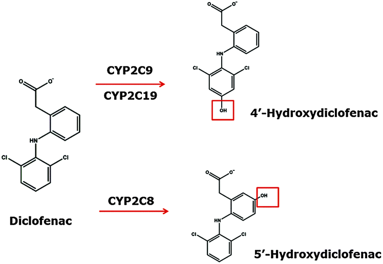 Classification of diclofenac metabolism