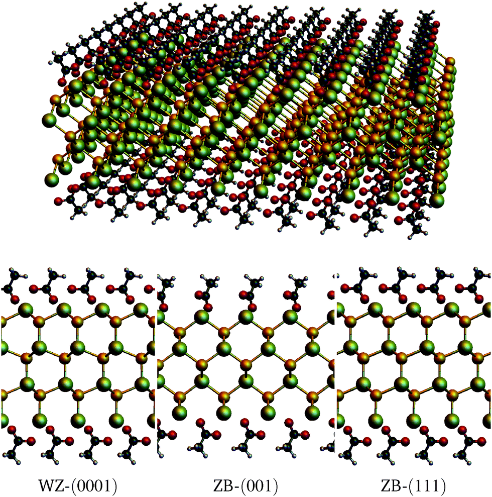 Acetate ligands determine the crystal structure of CdSe nanoplatelets