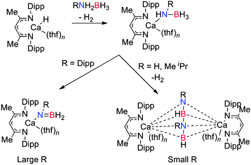 scheme   dehydrogenation of primary amine-boranes using   (dipp