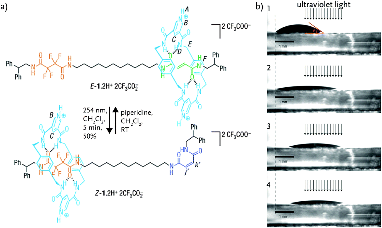 image file: c6cs00242k-f10.tif
