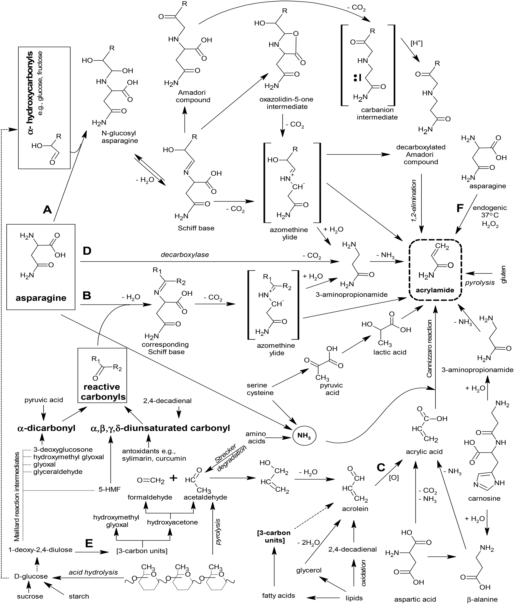 1 Possible Pathways Of Acrylamide Formation21262732 39 1 Possible Pathways Of Acrylamide Formation21262732 39