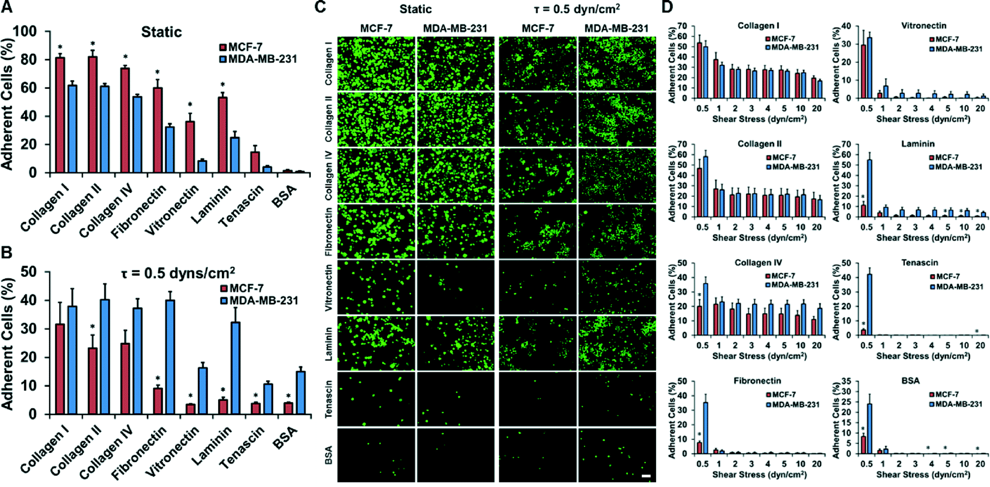 A highthroughput mechanofluidic screening platform for investigating