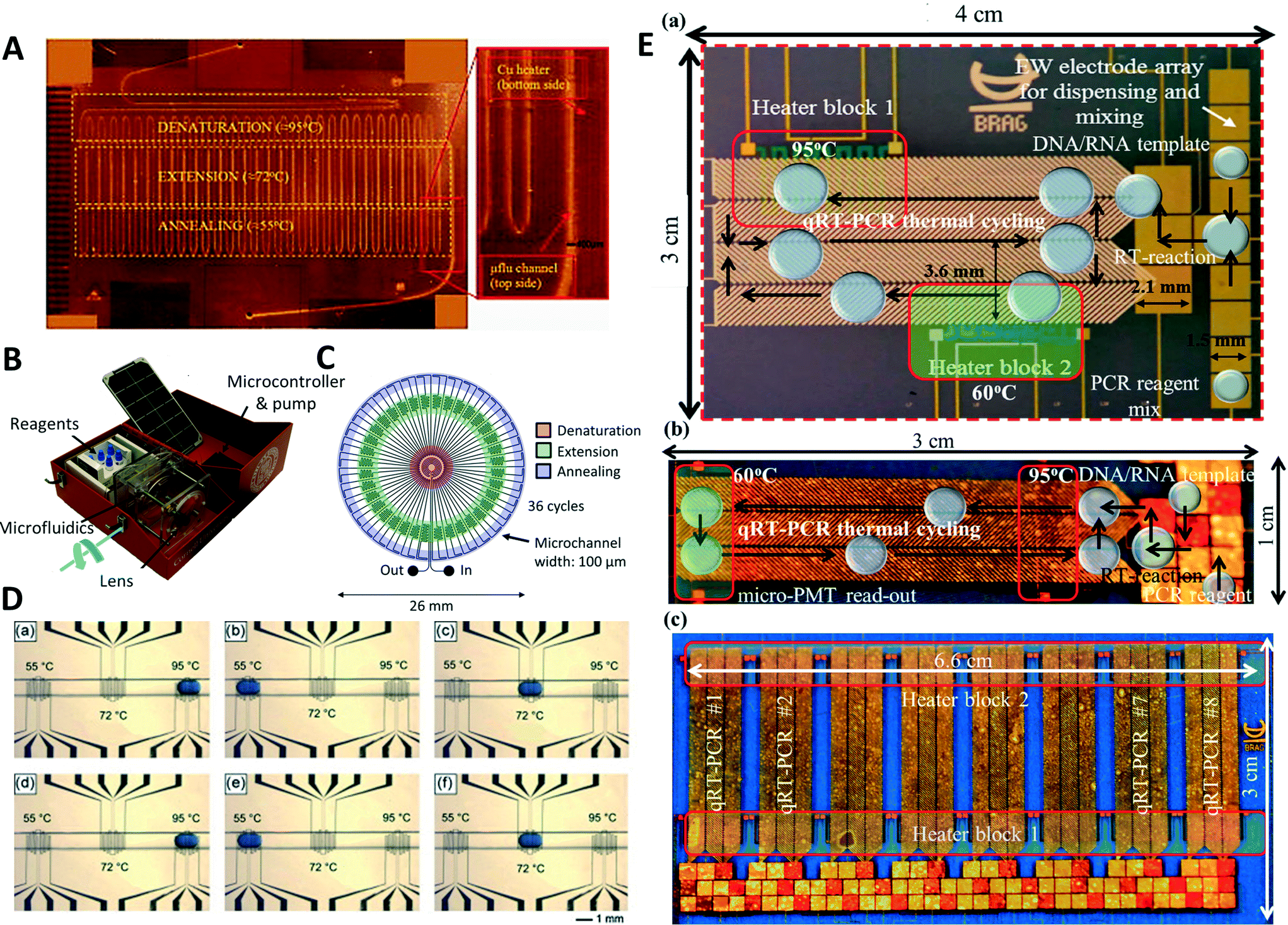 Polymerase chain reaction in microfluidic devices - Lab on 